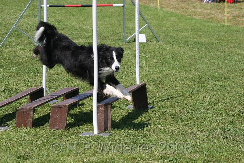 jubil.lusten. 306.jpg